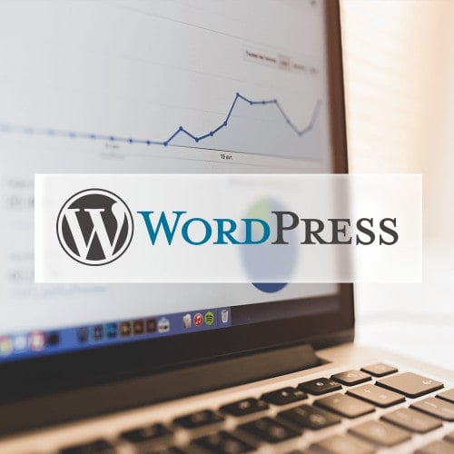 Wordpress Logo & Google Analytics Grafik
