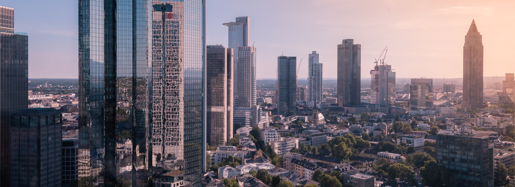 Internetagentur in Frankfurt für Ihren Online-Erfolg