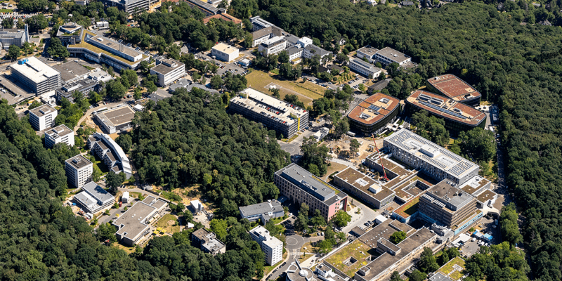 institute-of-rec-neurobiology_rectangle