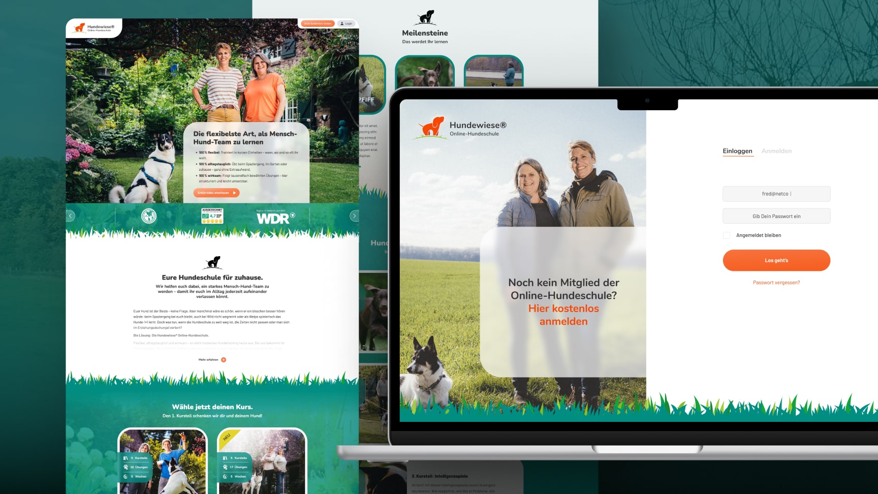 Webdesign und Login-Seite der Hundewiese Online-Hundeschule.