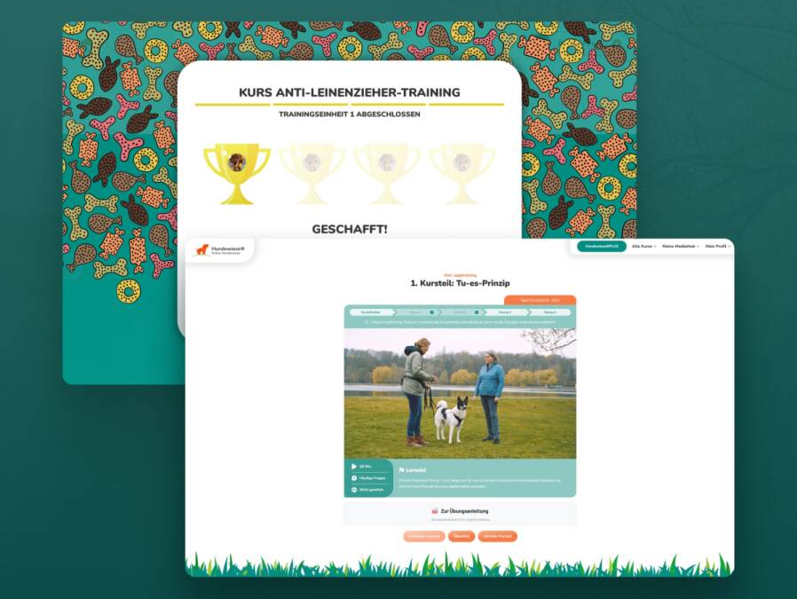 Benutzeroberfl&auml;che der Hundewiese Online-Hundeschule mit einer Lektion zum Anti-Jagdtraining im Vordergrund und einer Erfolgsbest&auml;tigung mit Pokal-Auszeichnung im Hintergrund